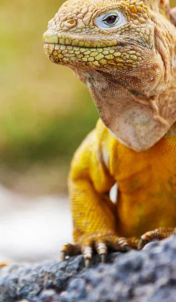 Ecuador