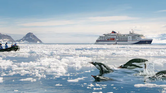 Bilden visar Hapag-Lloyds fartyg i Antarktis. Pingviner hoppar i vattnet framför fartyget.