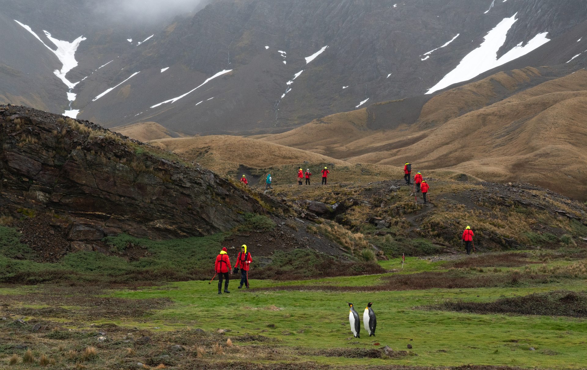 Bilden visar vandrare i South Georgia som kollar på pingviner