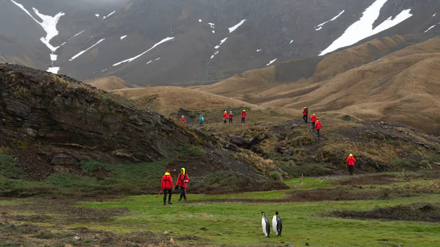 Bilden visar vandrare i South Georgia som kollar på pingviner