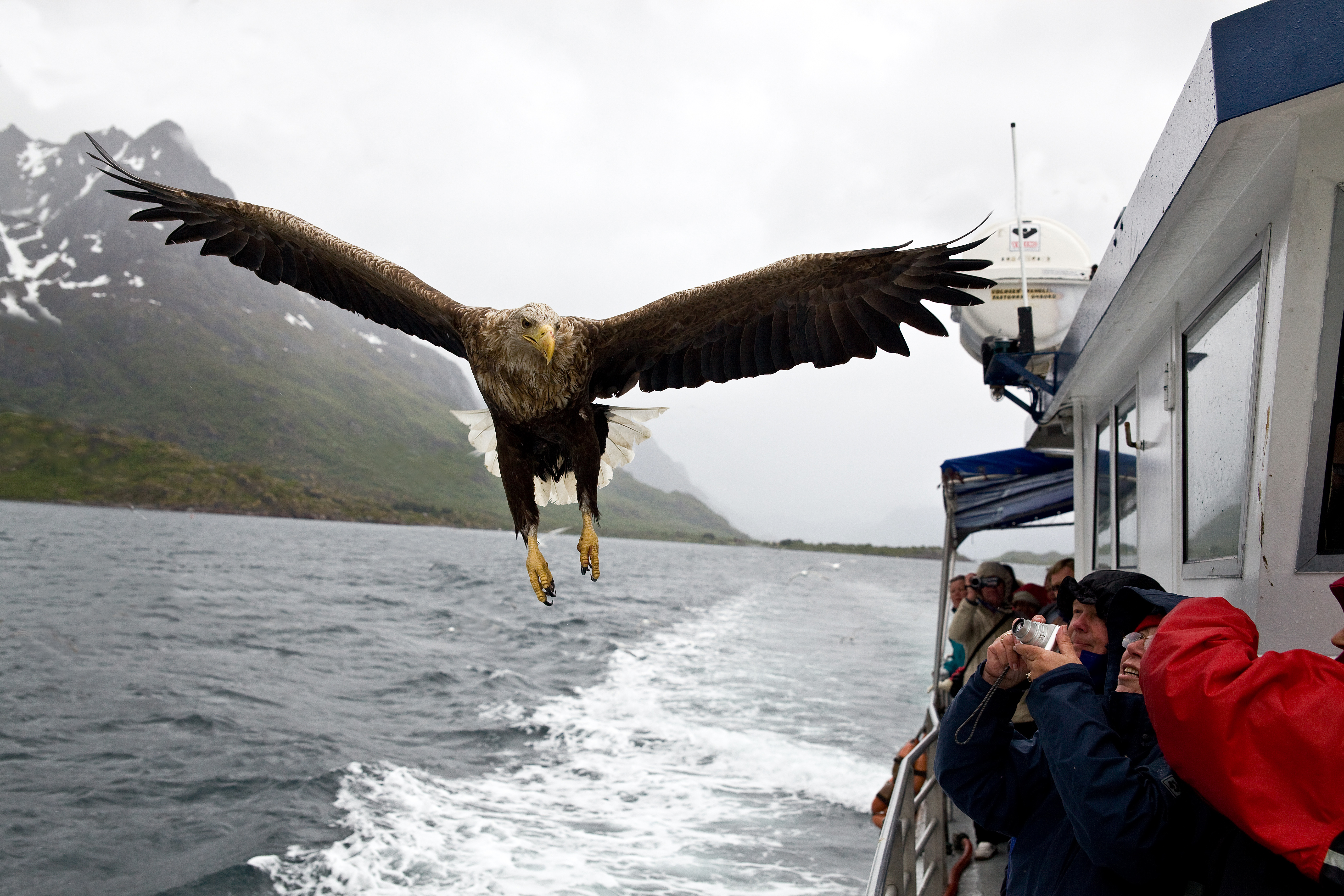 Stort utbud av utflykter