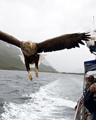 Stort utbud av utflykter